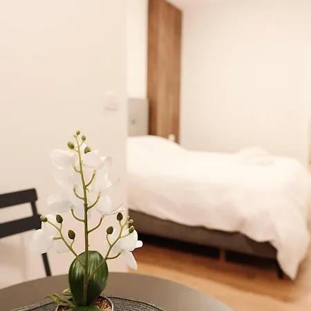 Apartman 102 *